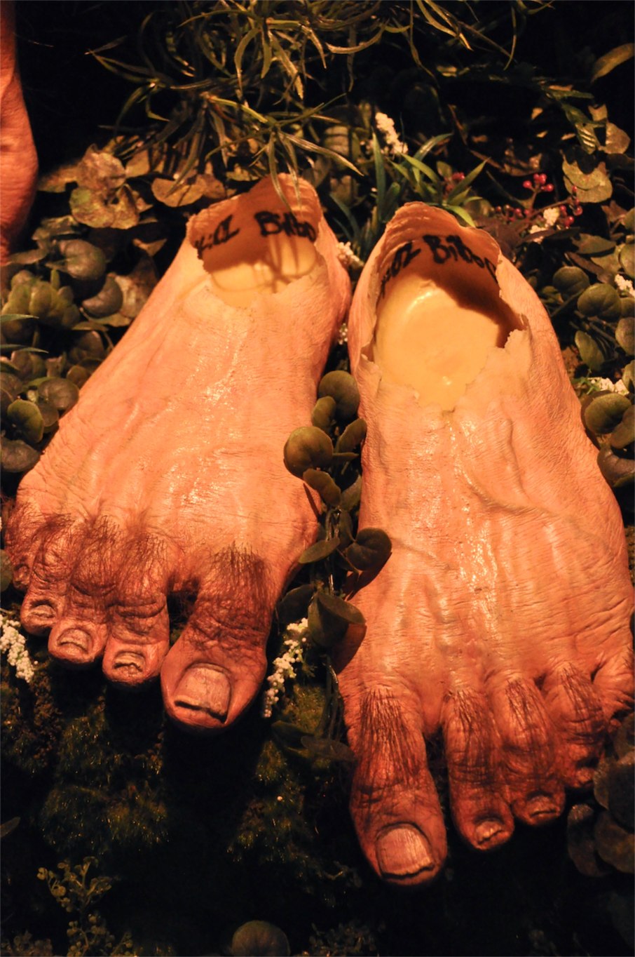 Hobbit feet
