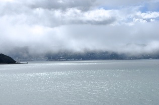 Wellington and fog